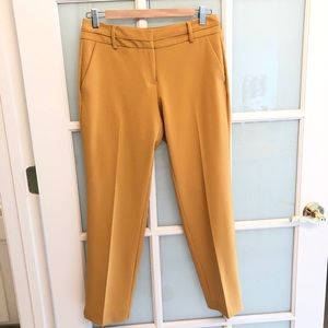 Straight legged ankle pants